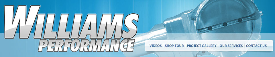 Williams Performance